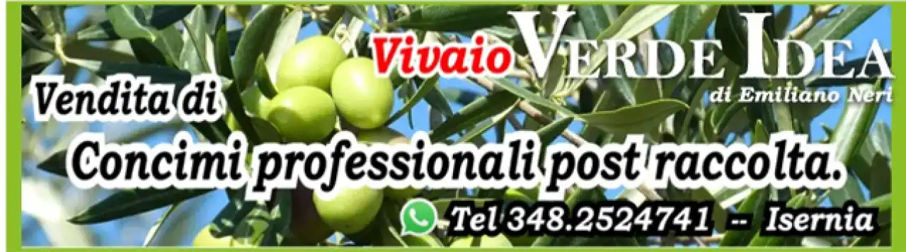 Banner Verde Idea concimi post raccolta 636 per 177 pixel